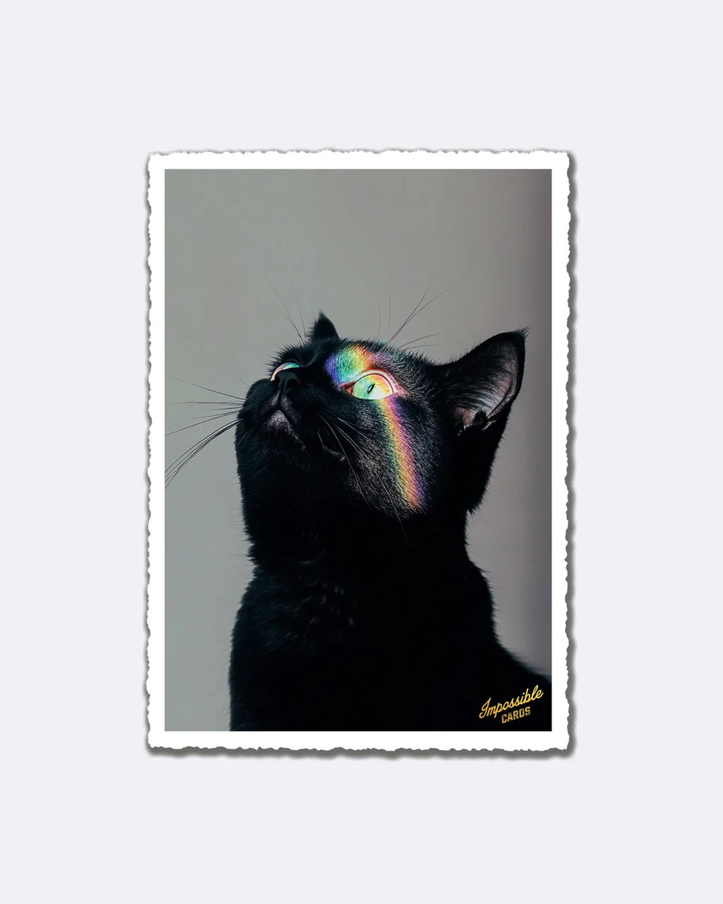 ChicMic Impossible Postkarte - Regenbogen Katze