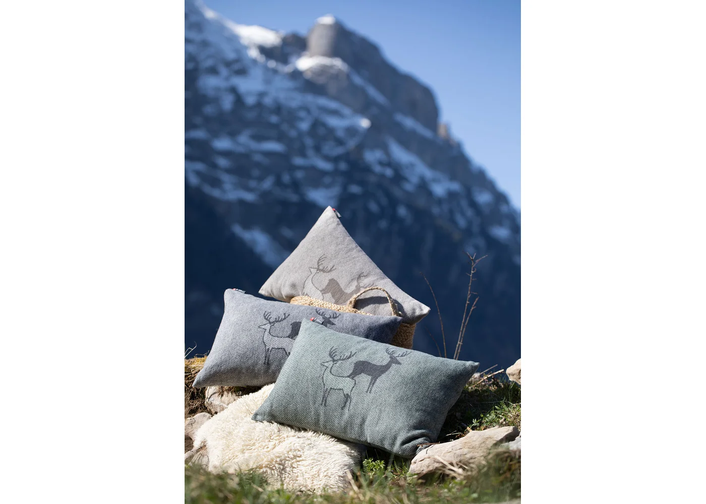 David Fussenegger - SILVRETTA KISSENHÜLLE HIRSCHRUDEL