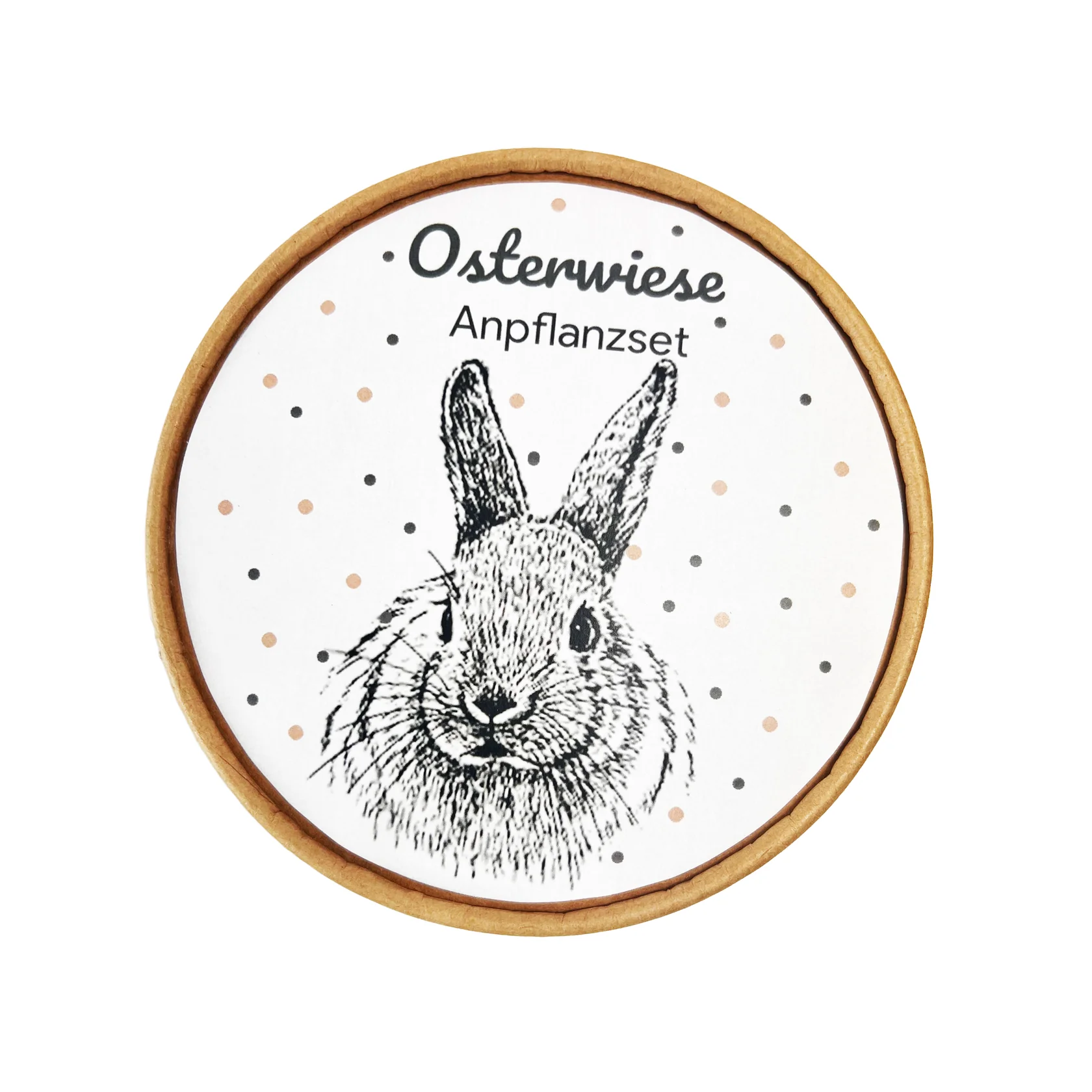 Wunderle - Osterwiese XL - Ostergeschenke mit Kresse & Hasen 