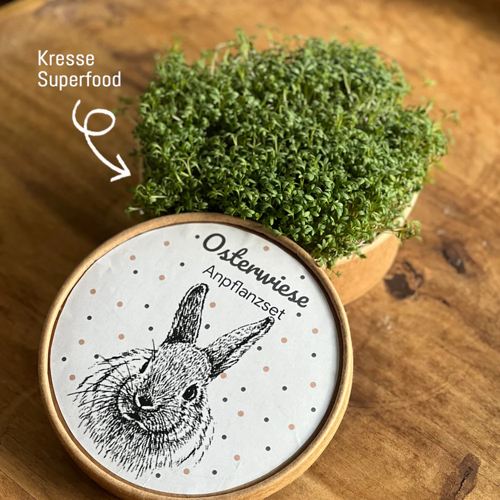 Wunderle - Osterwiese XL - Ostergeschenke mit Kresse & Hasen 