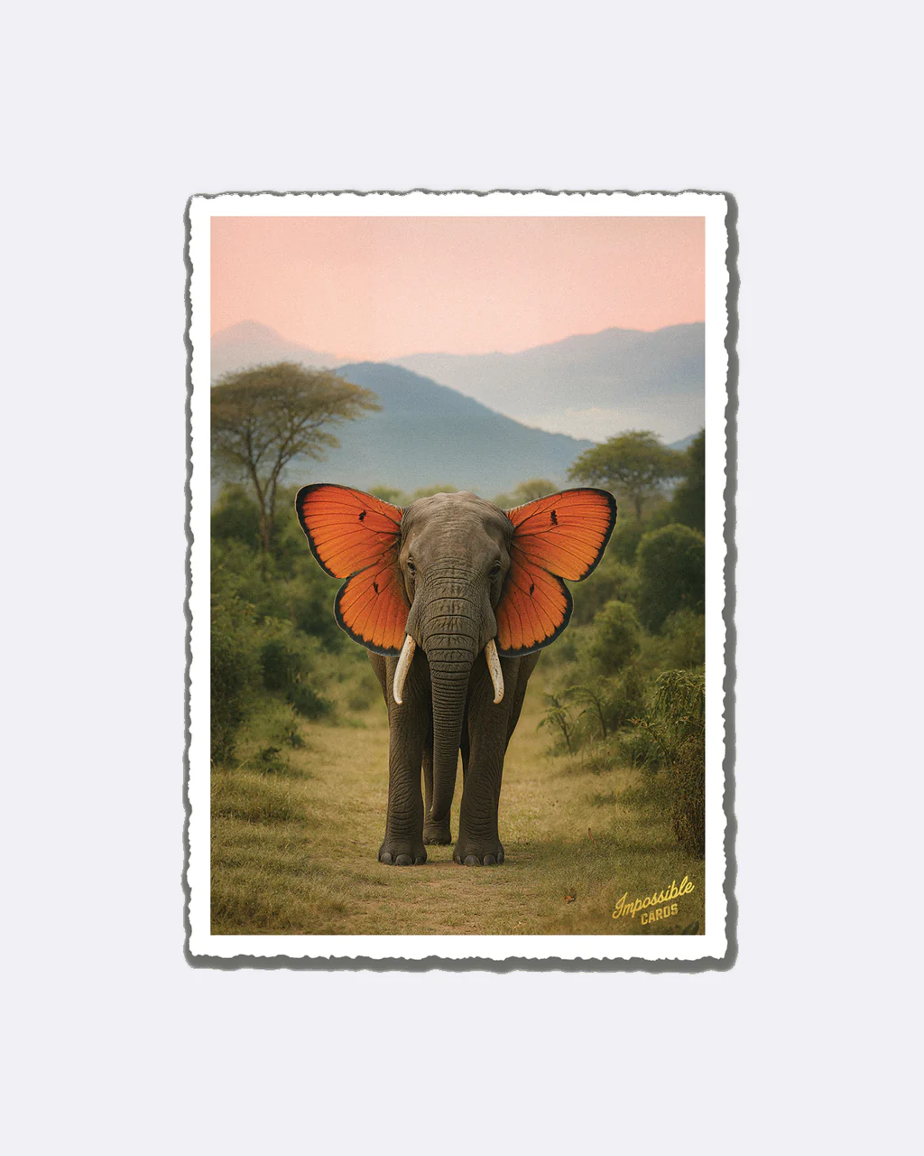 ChicMic Impossible Postkarte - Elefant Schmetterling