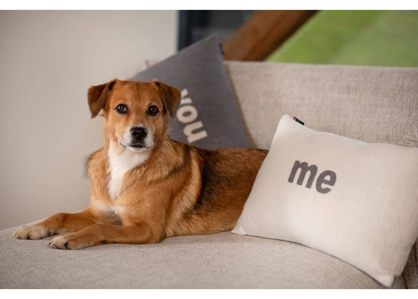 David Fussenegger - SILVRETTA KISSENHÜLLE ME - 30 x 50 cm  