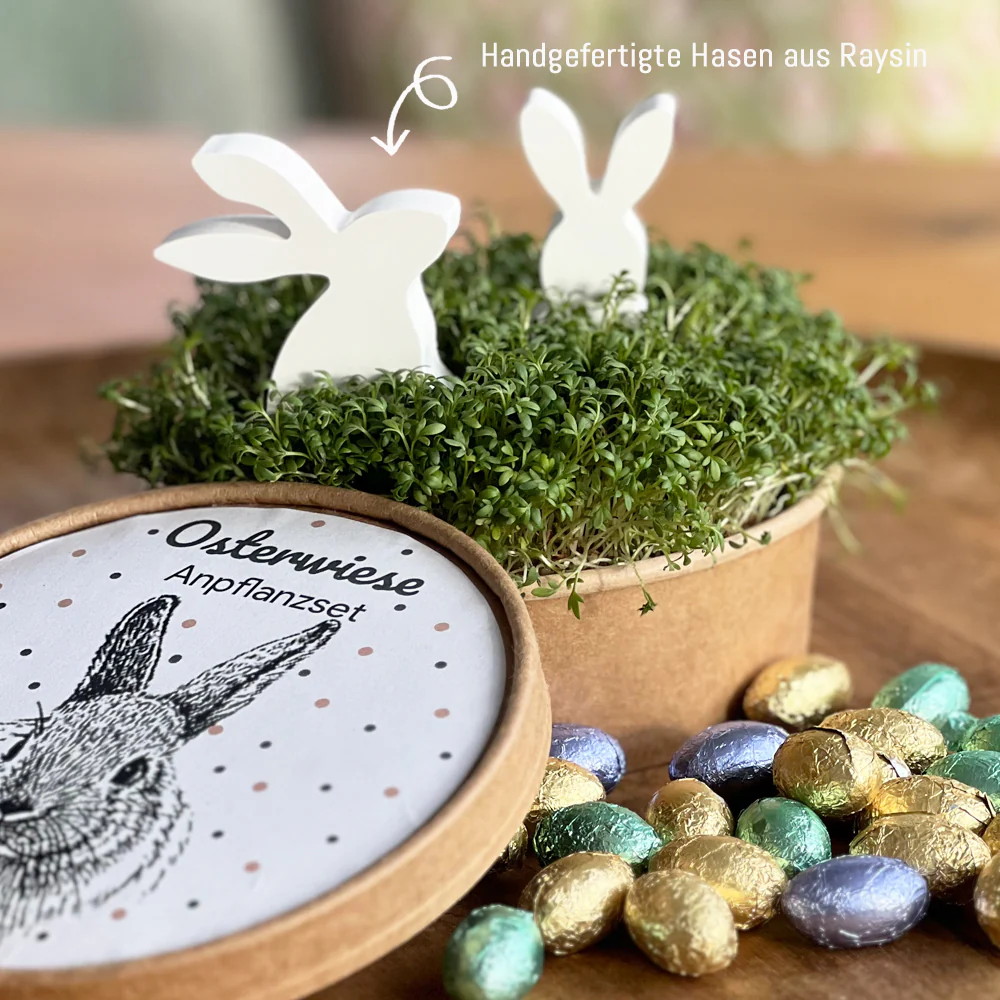 Wunderle - Osterwiese XL - Ostergeschenke mit Kresse & Hasen 