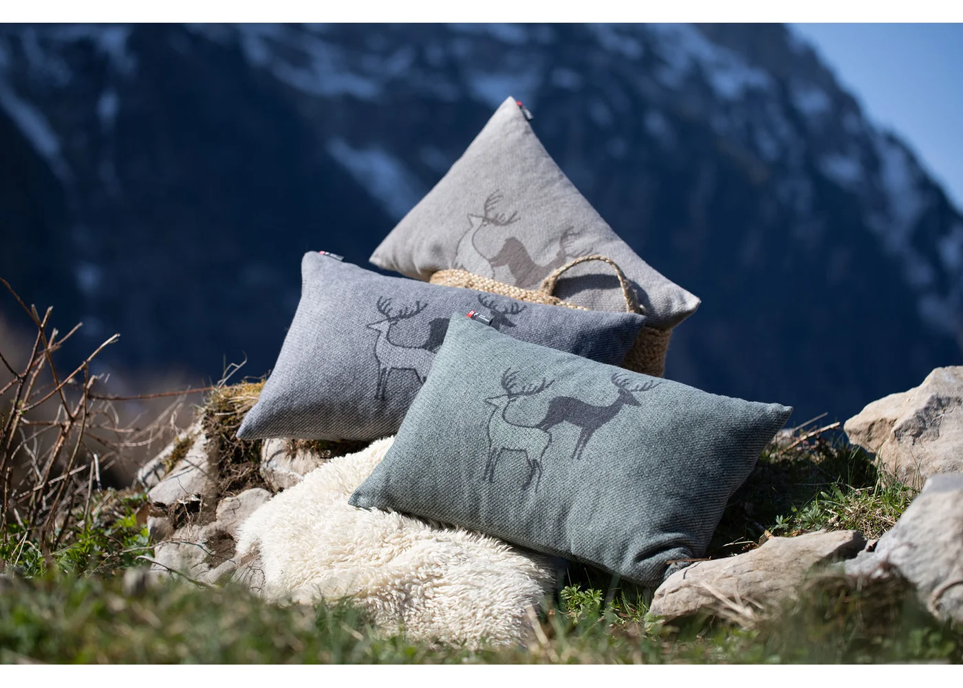 David Fussenegger - SILVRETTA KISSENHÜLLE HIRSCHRUDEL