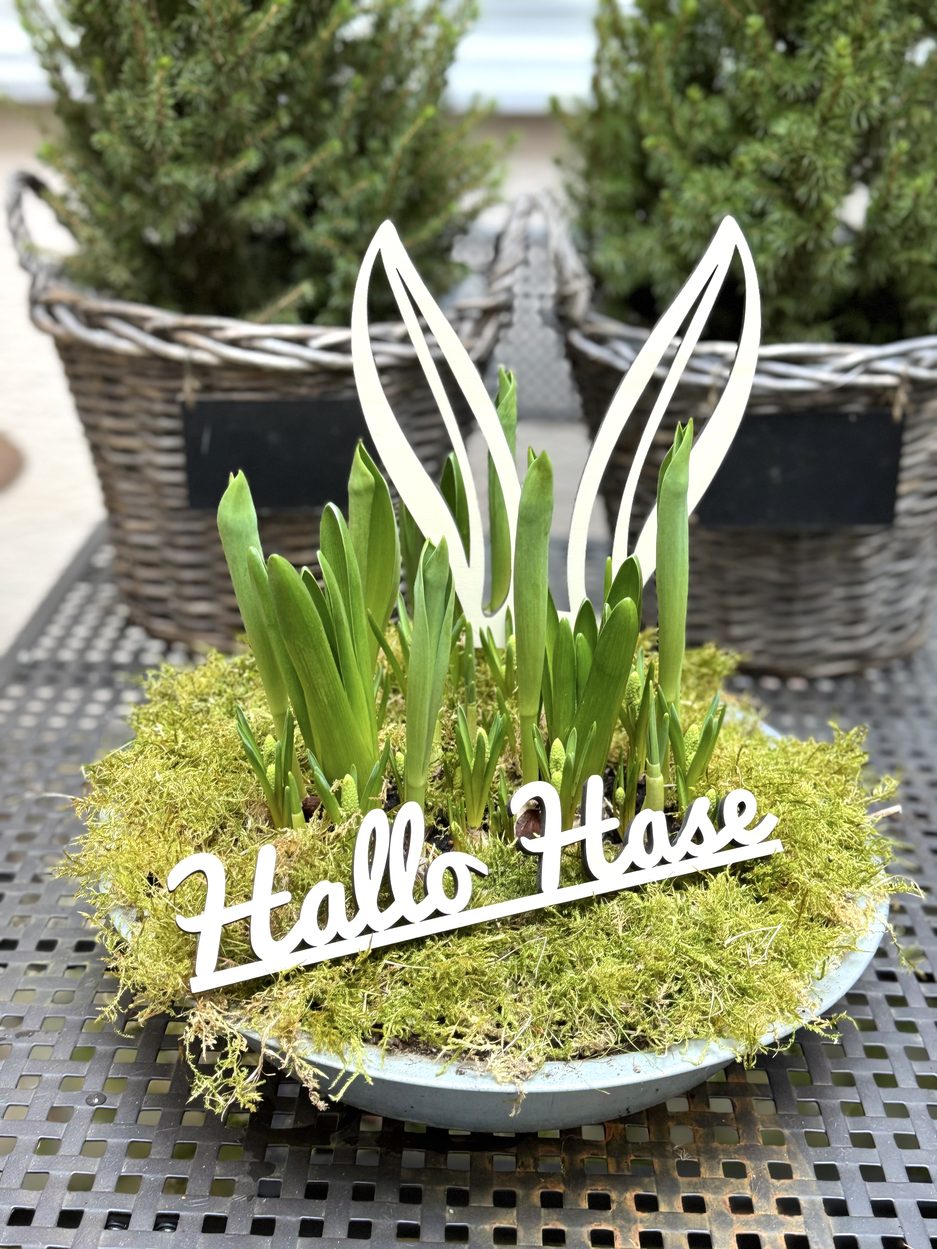 Herz im Holz - HOLZSCHRIFT Hallo Hase 