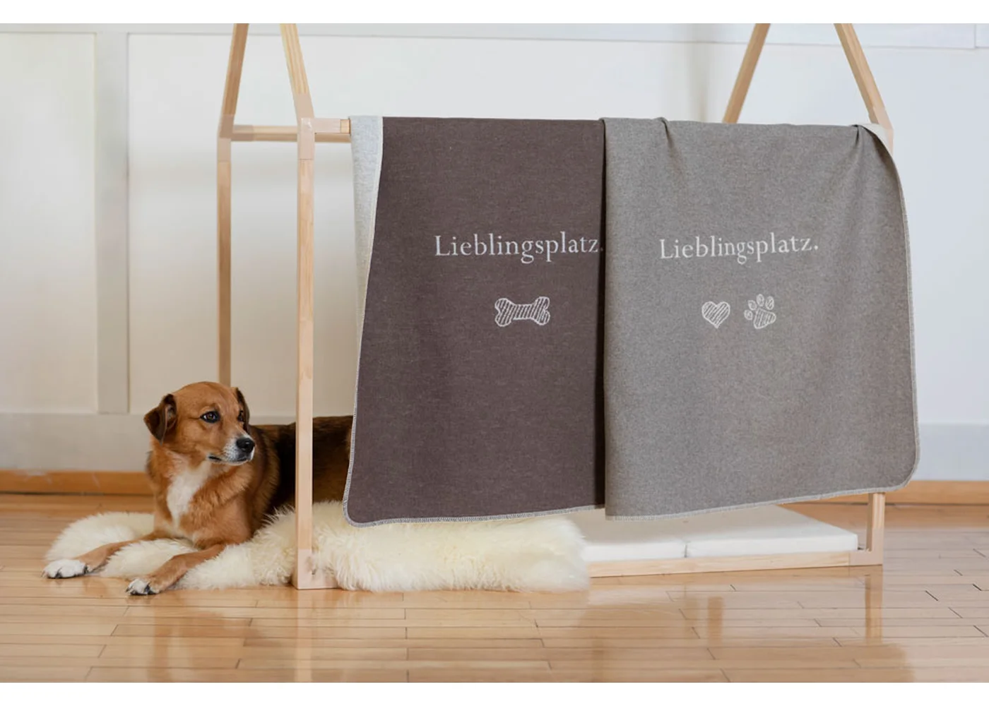 David Fussenegger - HAUSTIERDECKE LIEBLINGSPLATZ