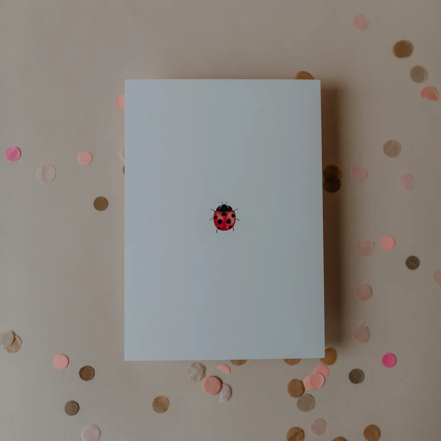 Eulenschnitt Postkarte Ladybug
