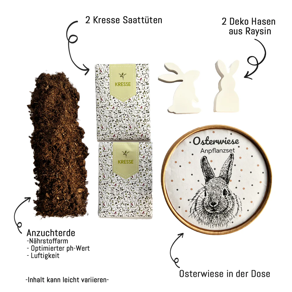 Wunderle - Osterwiese XL - Ostergeschenke mit Kresse & Hasen 