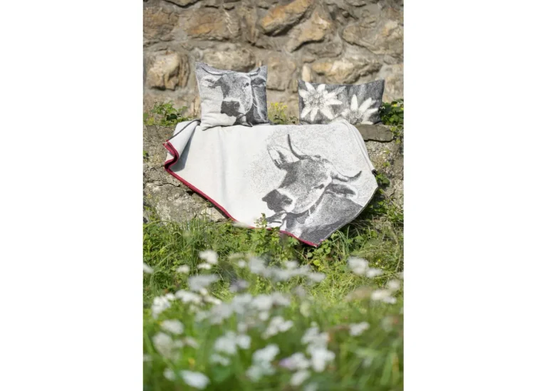 David Fussenegger - SILVRETTA KISSENHÜLLE Edelweiß - 60 x 40 CM 