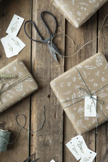 IB Laursen Schere medium 