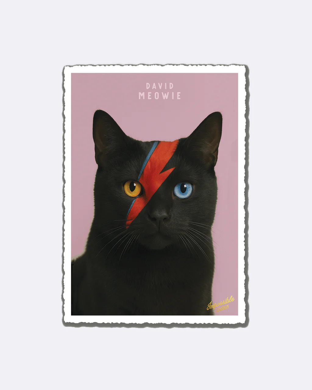 ChicMic Impossible Postkarte - David Meowie