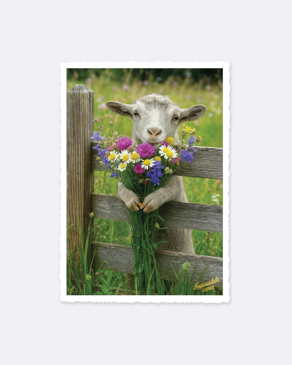 ChicMic Impossible Postkarte - Lamm Blumen