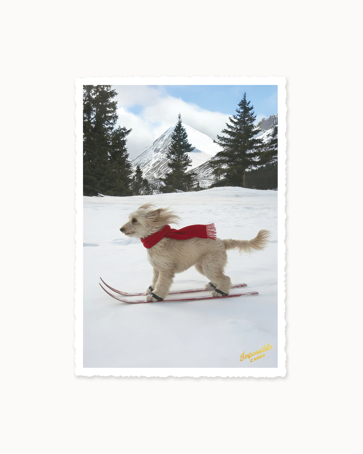 chic.mic - Impossible Weihnachtspostkarte - Dog on Skis