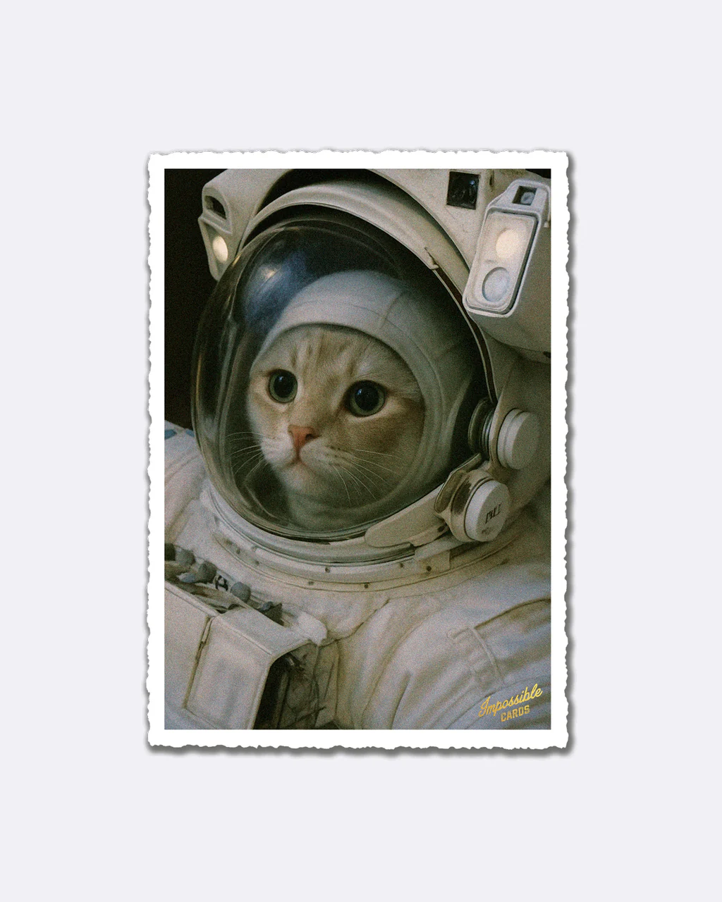 ChicMic Impossible Postkarte - Katze als Astronaut