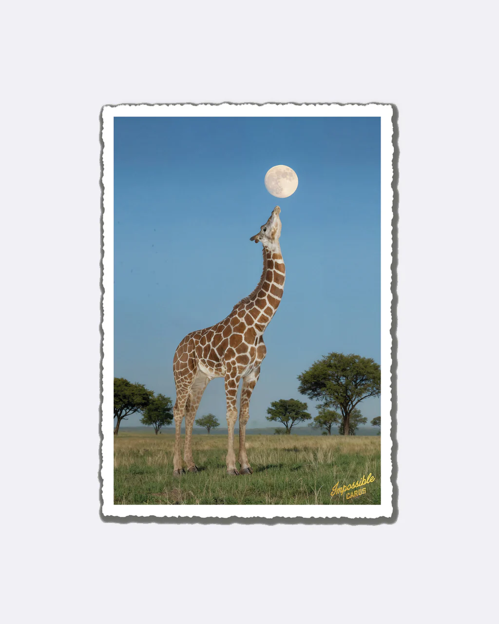 ChicMic Impossible Postkarte - Giraffe unter Vollmond