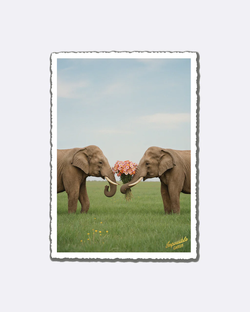 ChicMic Impossible Postkarte - Elefanten Liebe