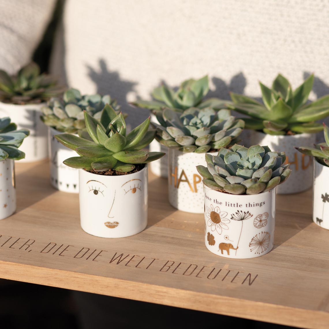 Räder Teelichthalter Helle Freude - Happy Birthday