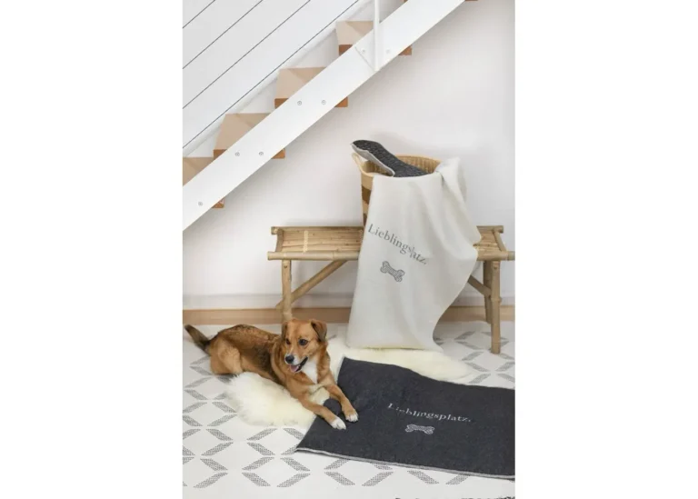 David Fussenegger - HUNDEMATTE GROß GEFÜTTERT - LIEBLINGSPLATZ 