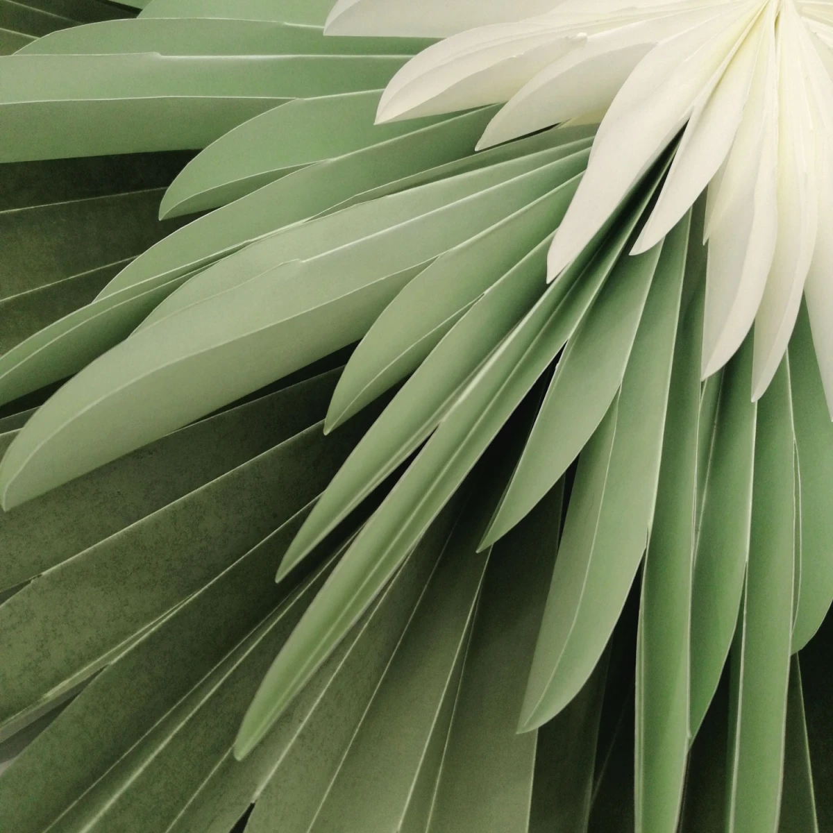 Starlightz - Blüte Stella Dalia - Pergamentpapier - GRÜN - MINT - WEISS - Durchmesser 40 cm 