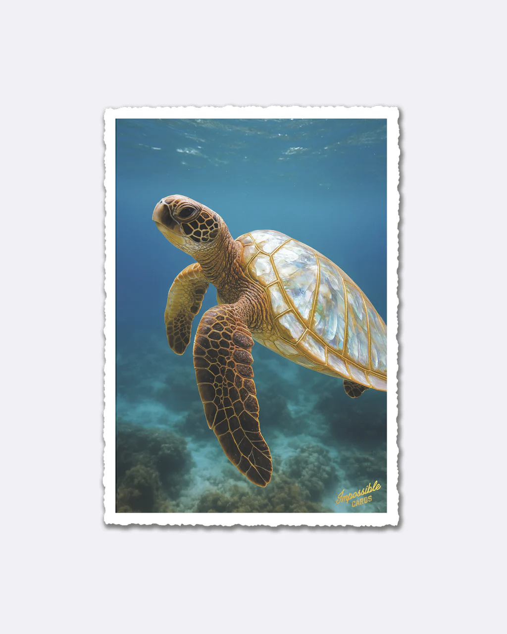 ChicMic Impossible Postkarte - Schildkröte