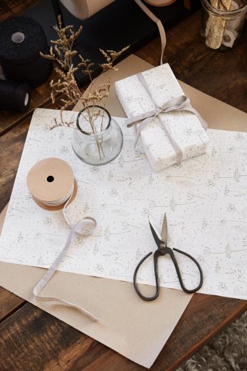 IB Laursen Schere medium 