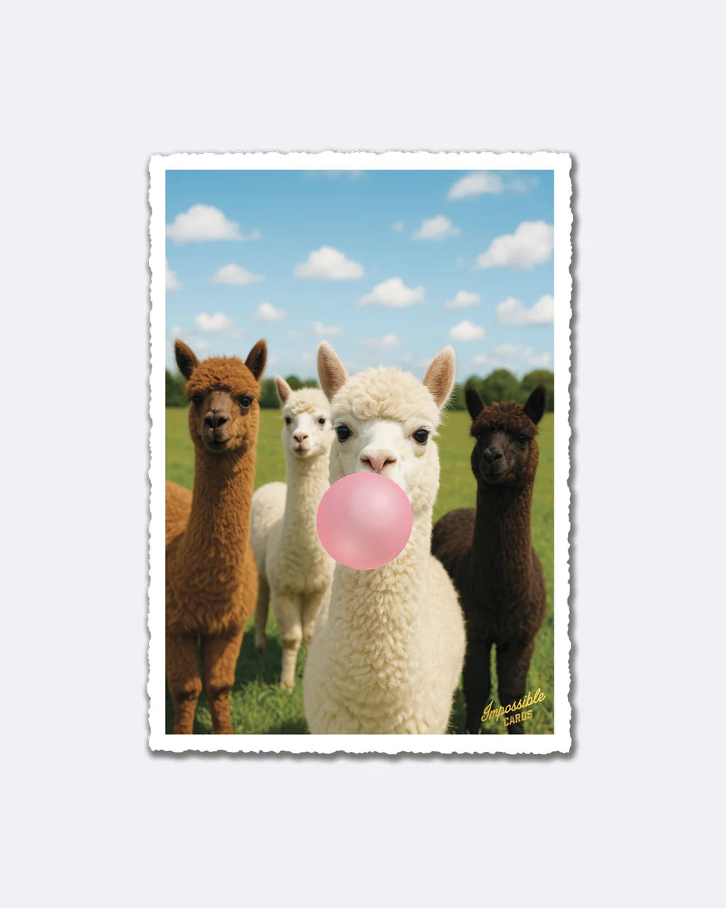 ChicMic Impossible Postkarte - Alpaka  mit Kaugummiblase