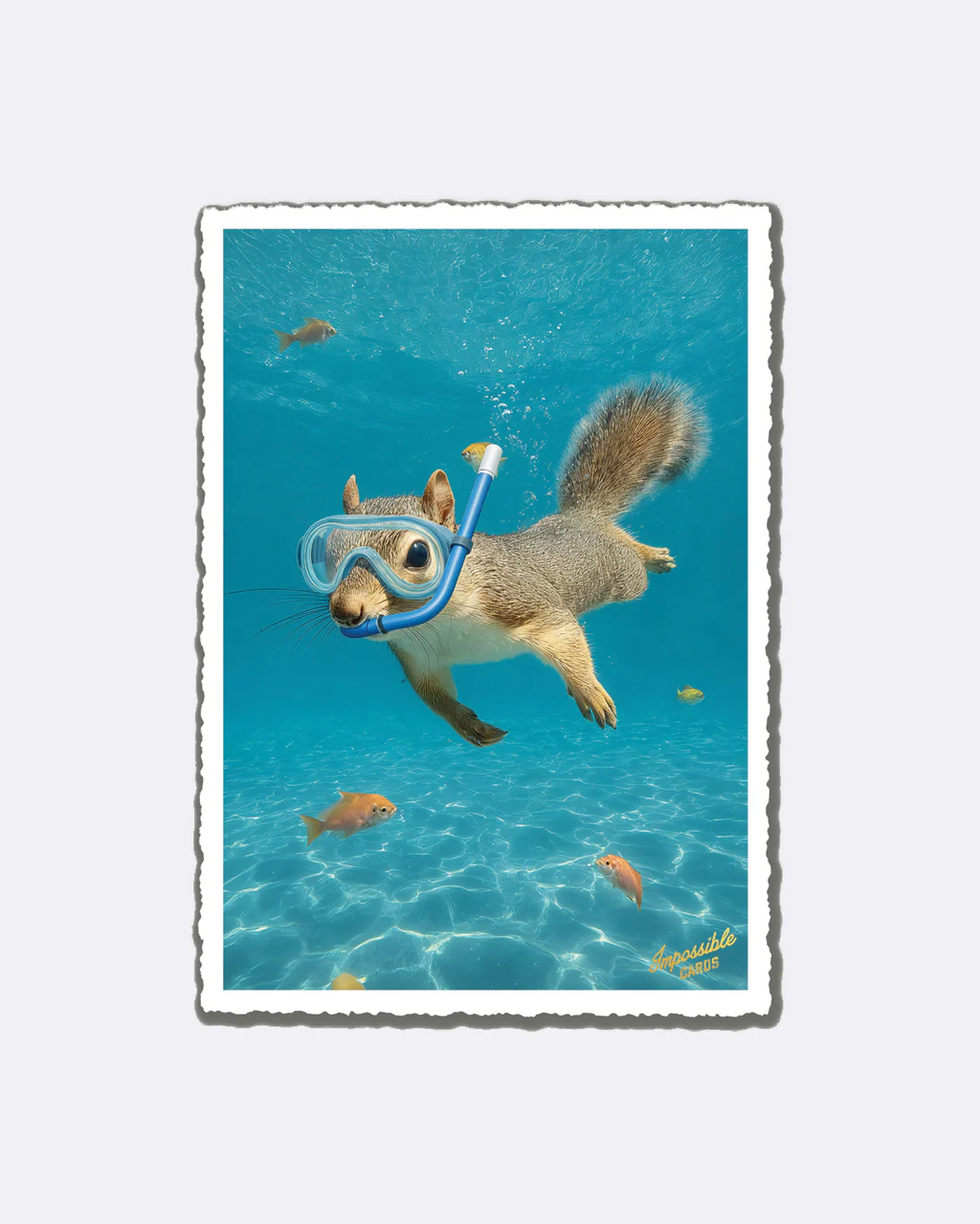 ChicMic Impossible Postkarte - Tauchendes Eichhörnchen