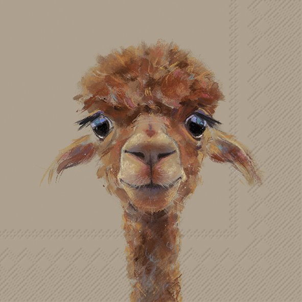Ideal Home Range - LUNCH SERVIETTEN -  ALPACA FERNANDO 